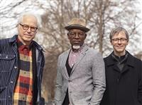 Bill Frisell Trio