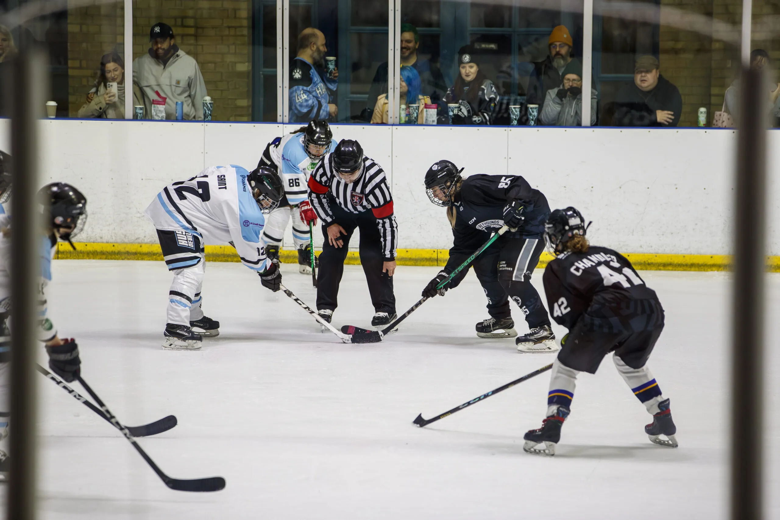 Haringey Greyhounds vs Swindon Topcats