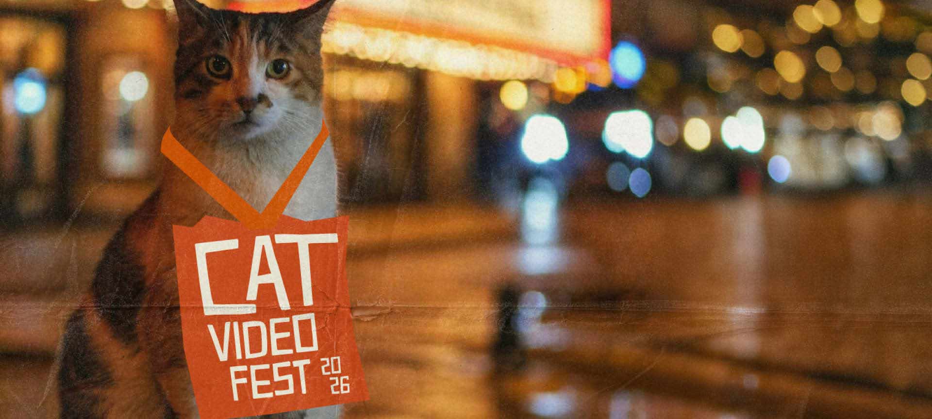 CatVideoFest 2026