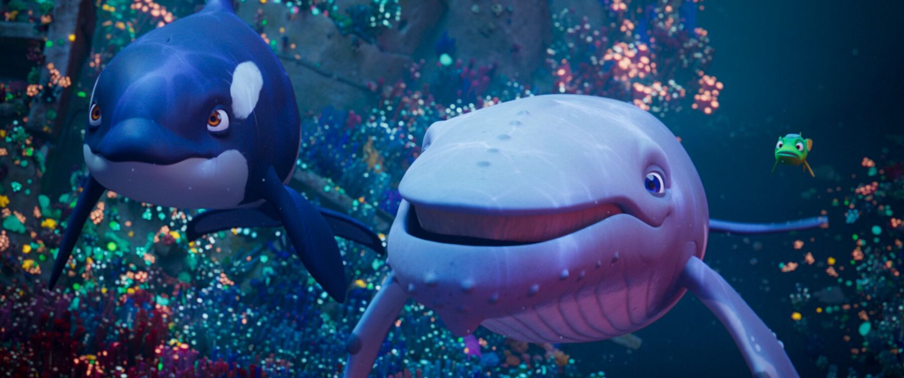 Vincent. Legend of the ocean