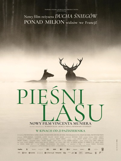 Songs of the Forest | FKS