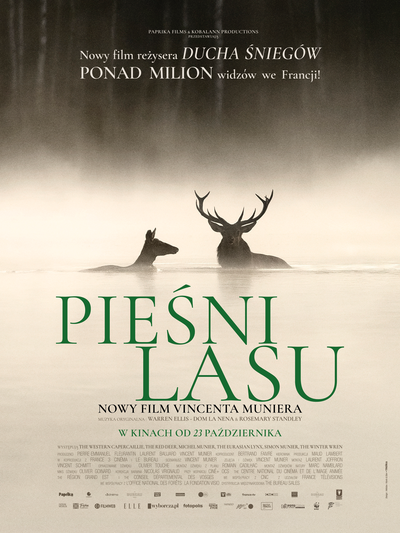 Songs of the Forest