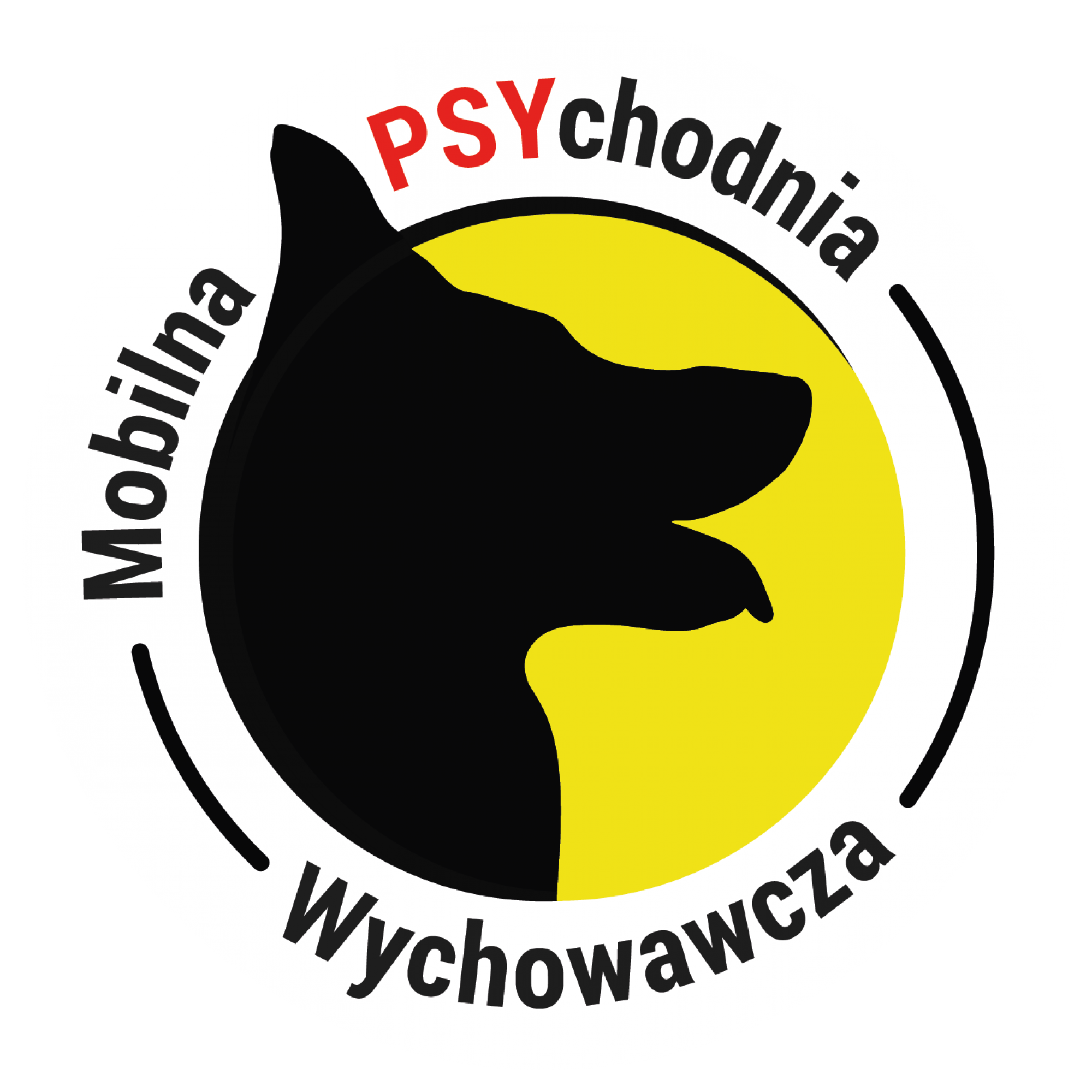 Meeting with a canine behaviorist