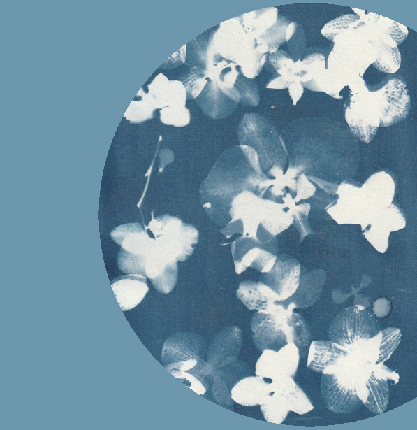 “Disclosure” - exhibition of Collective A5