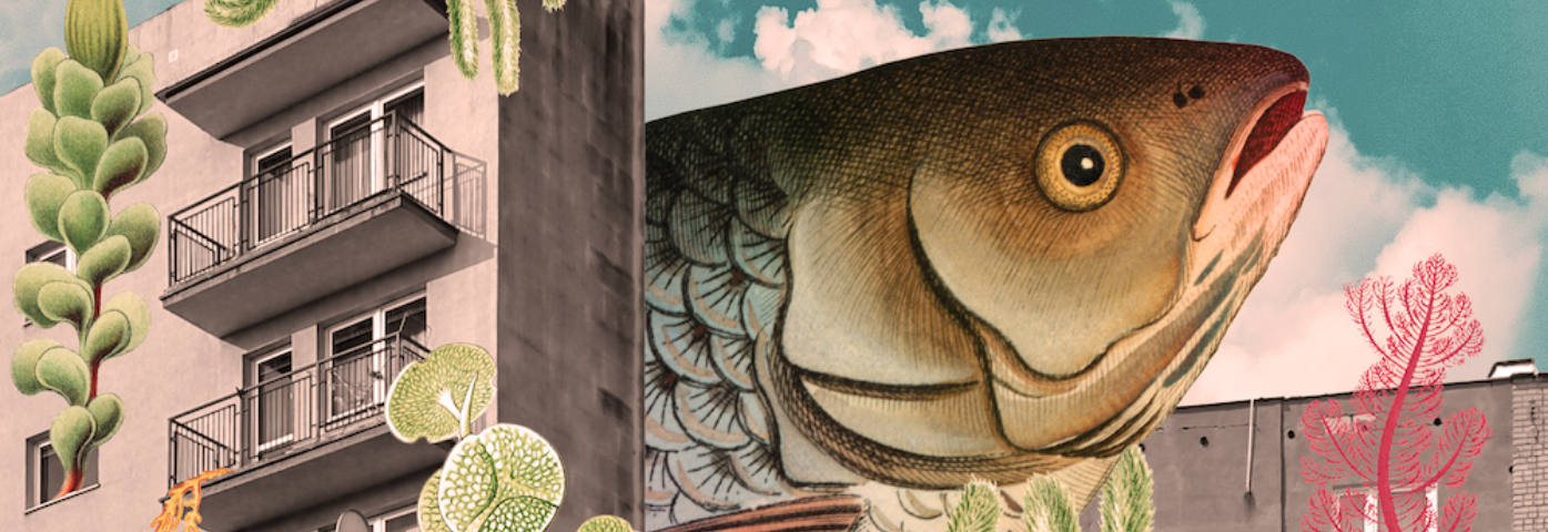 A new scale of imagination | WORKSHOPS