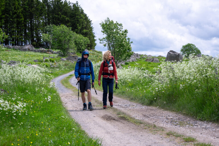 Camino for Dummies