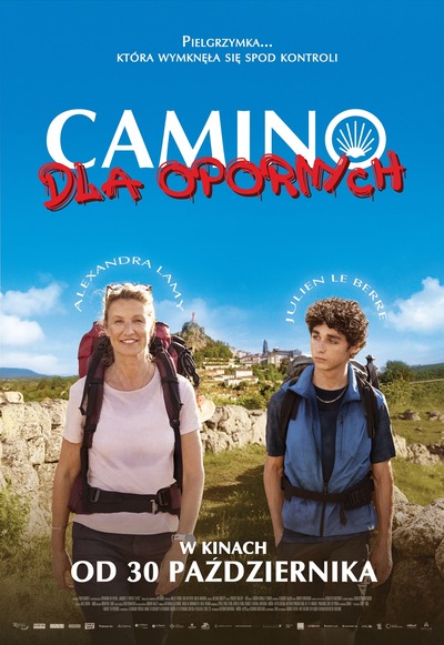 CAMINO FOR DUMMIES (2D Lecturer)