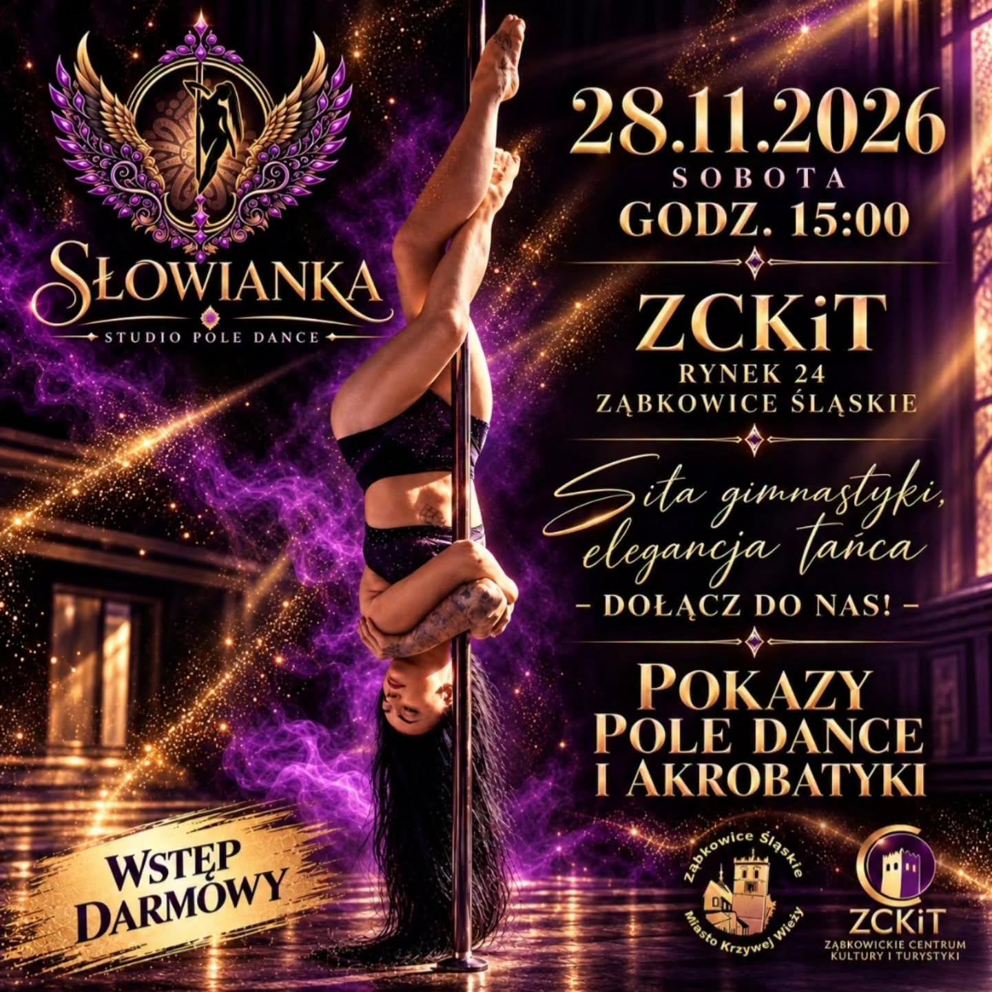 POLE DANCE AND ACROBATICS SHOWS — Sala Widowiskowa