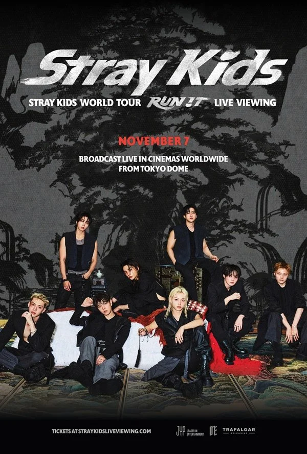 Stray Kids World Tour <RUN IT>LIVE VIEW