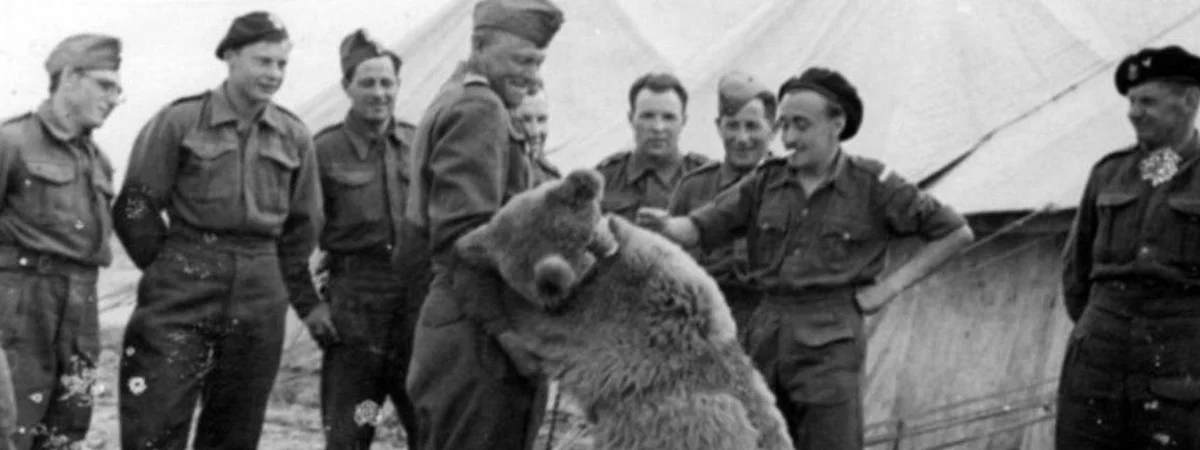 Battle trail of Misia Wojtek with the army of General Anders — lecture by Weronika Ryba #Przystanek Senior