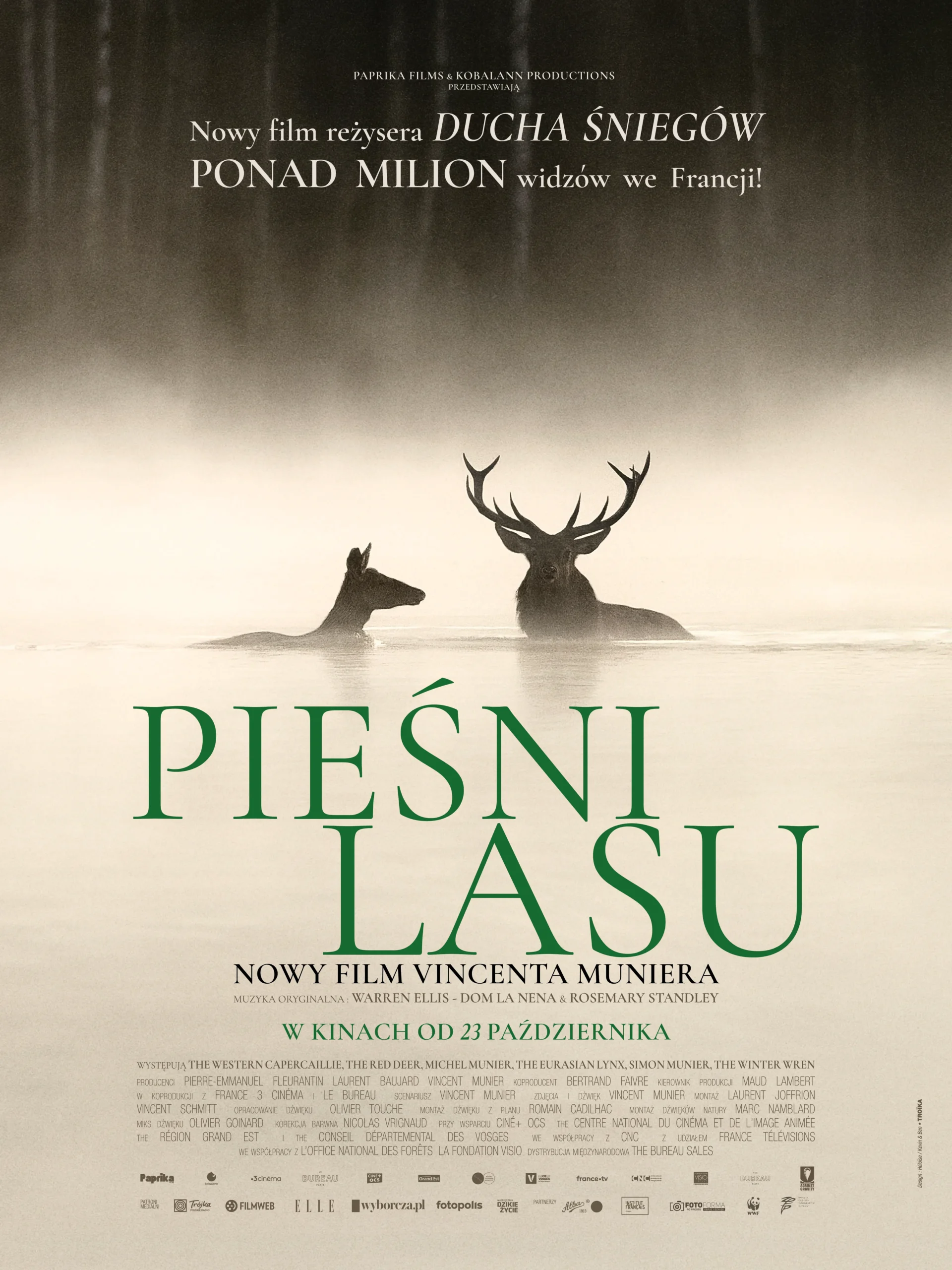 Songs of the Forest
