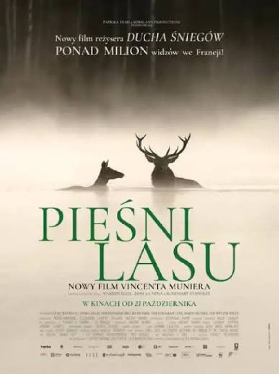 Songs of the Forest