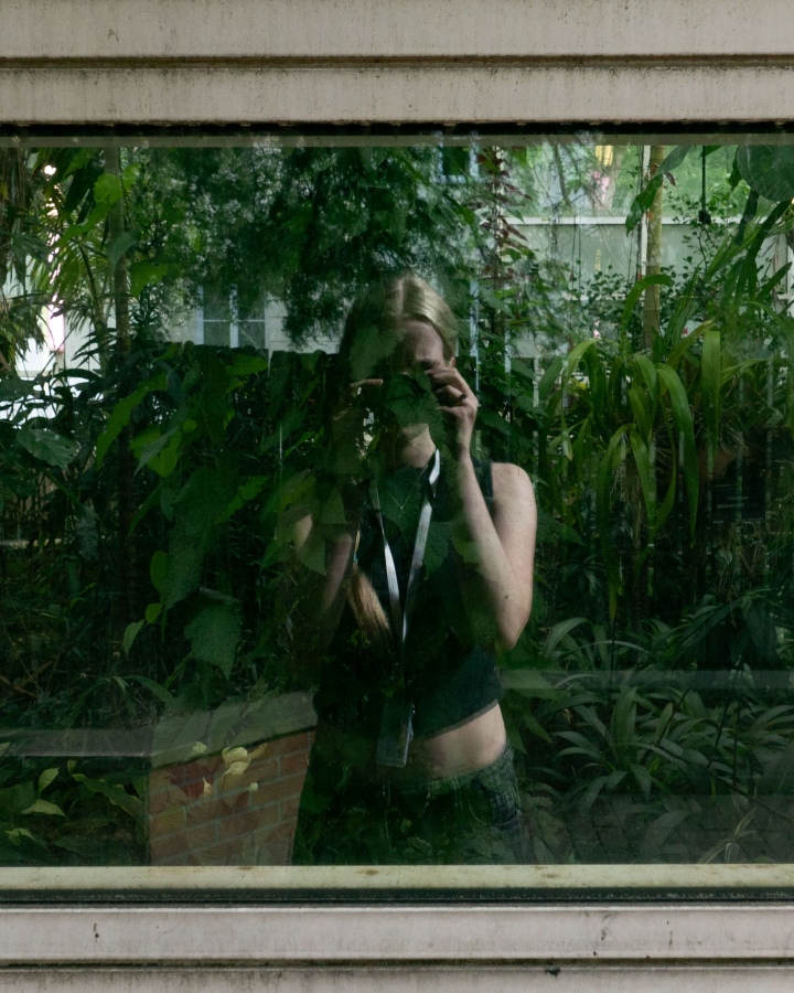 Herbarium of absent plants — Artistic intervention by Gabriela Piwar in the CSW Bookstore