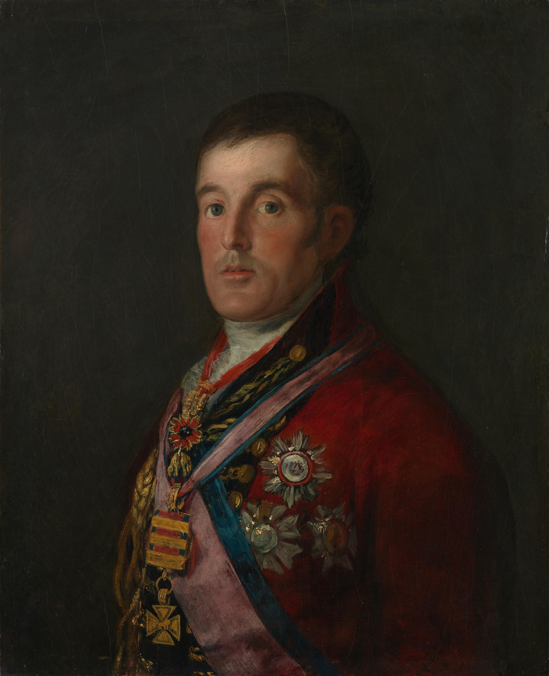 Audio Art: Utterly in the picture: Francisco de Goya's The Duke of Wellington