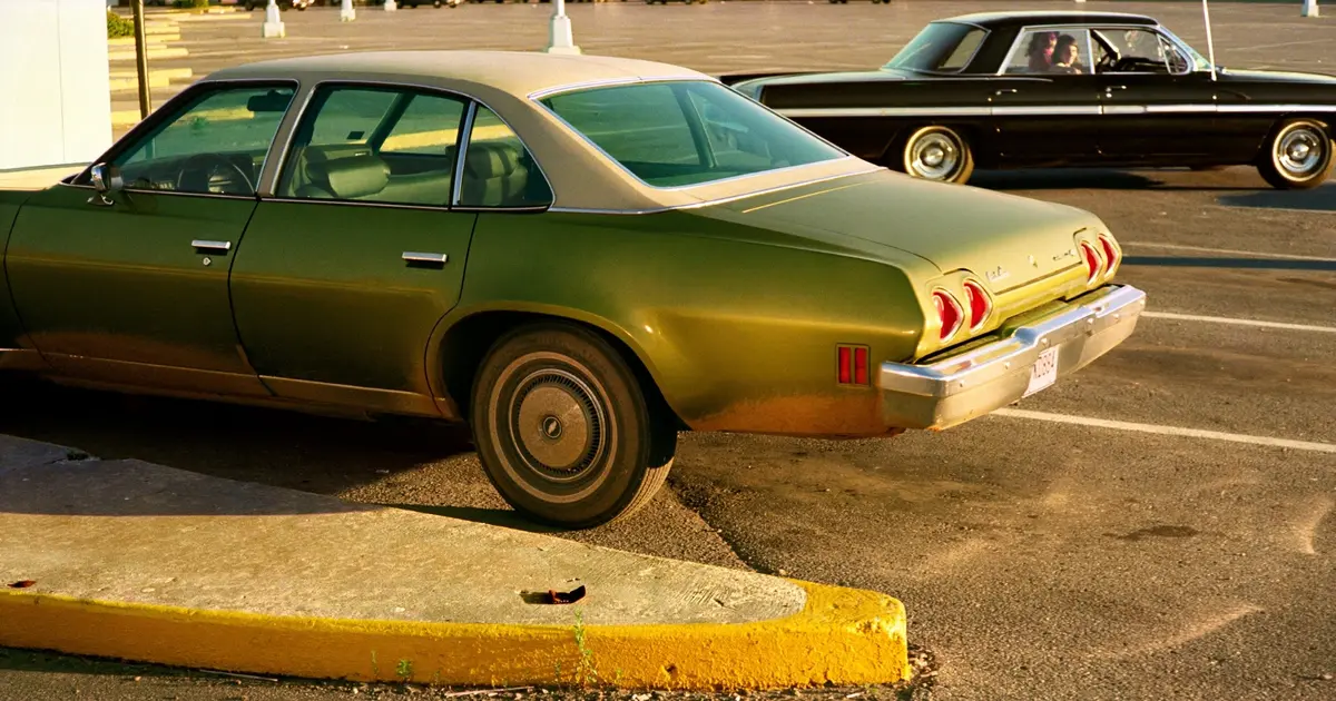 Members' Tour: William Eggleston and Sanlé Sory