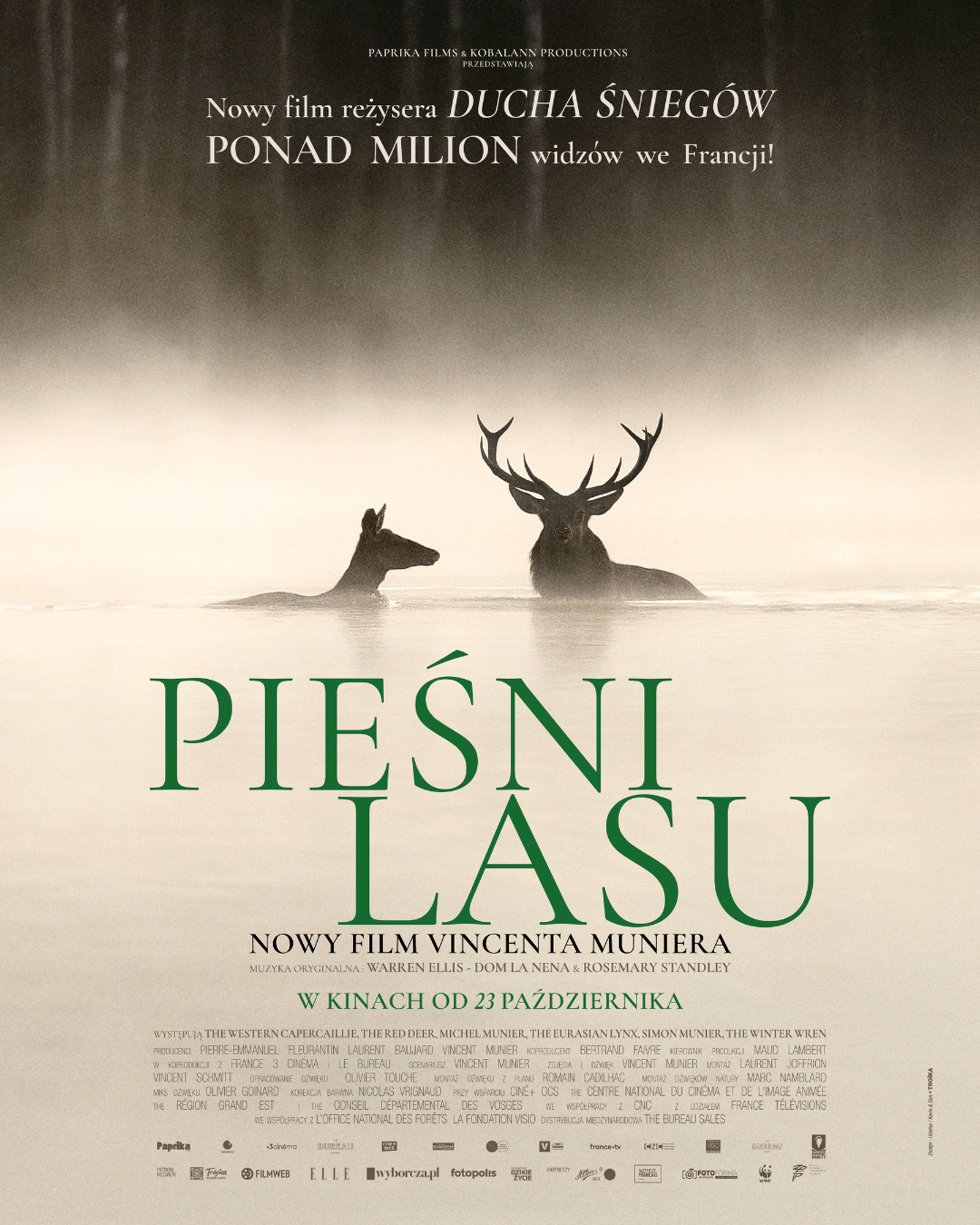 Songs of the Forest