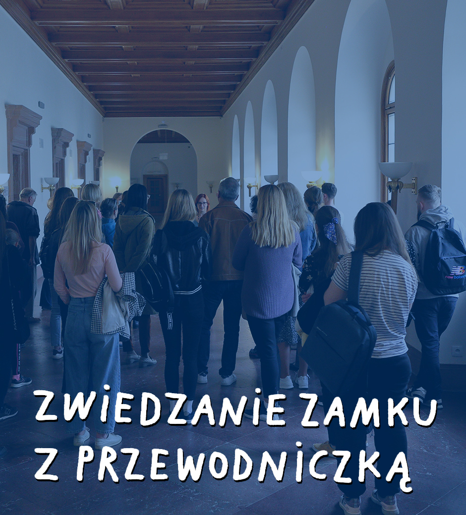 Guided tour of the Castle