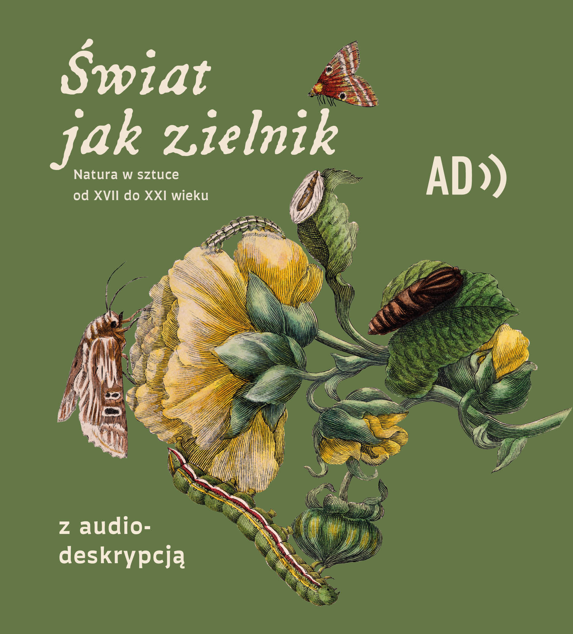 Guided tour of the exhibition (AD) | THE WORLD LIKE A HERB