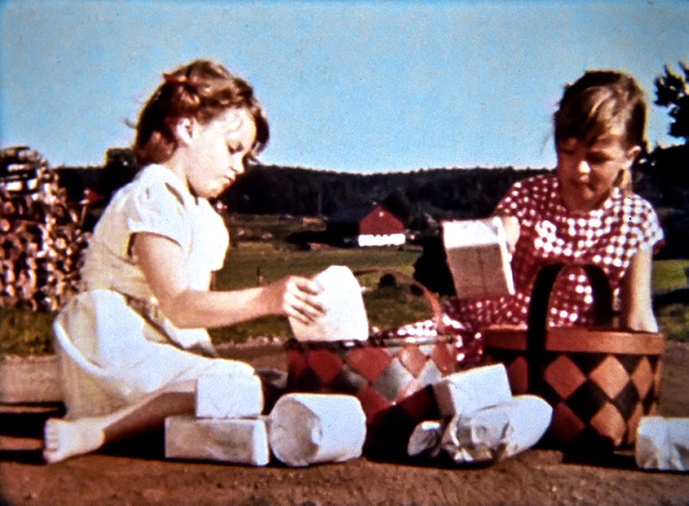 Little Cinematographer: Children of Bullerbyn, directed by Lasse Hallström