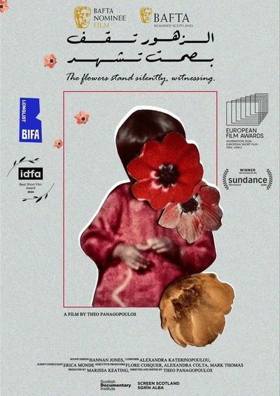 The Flowers Stand Silently, Witnessing + Return to Haifa