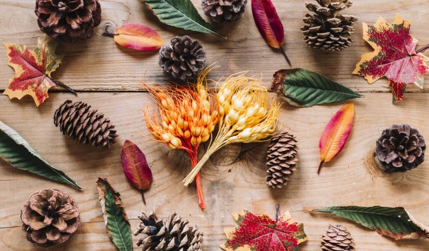 Autumn Floristic Arrangements