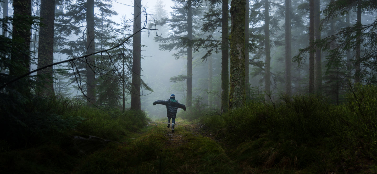 Songs of the Forest