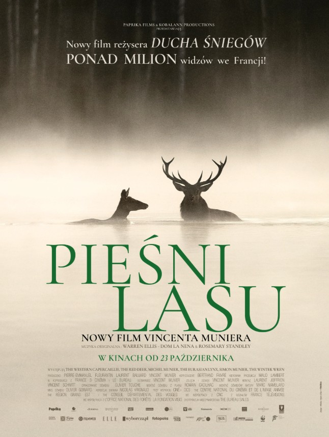 Songs of the Forest