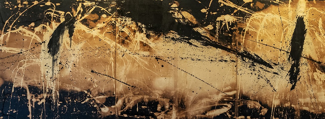 Curated tour | Exhibition All images will disappear