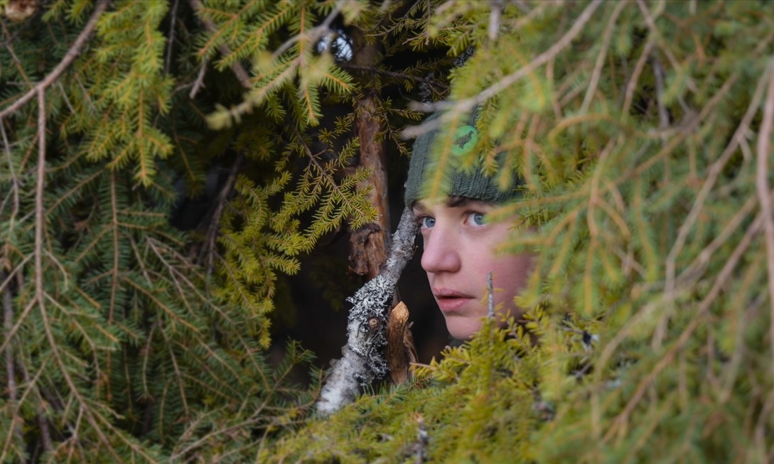 Songs of the Forest