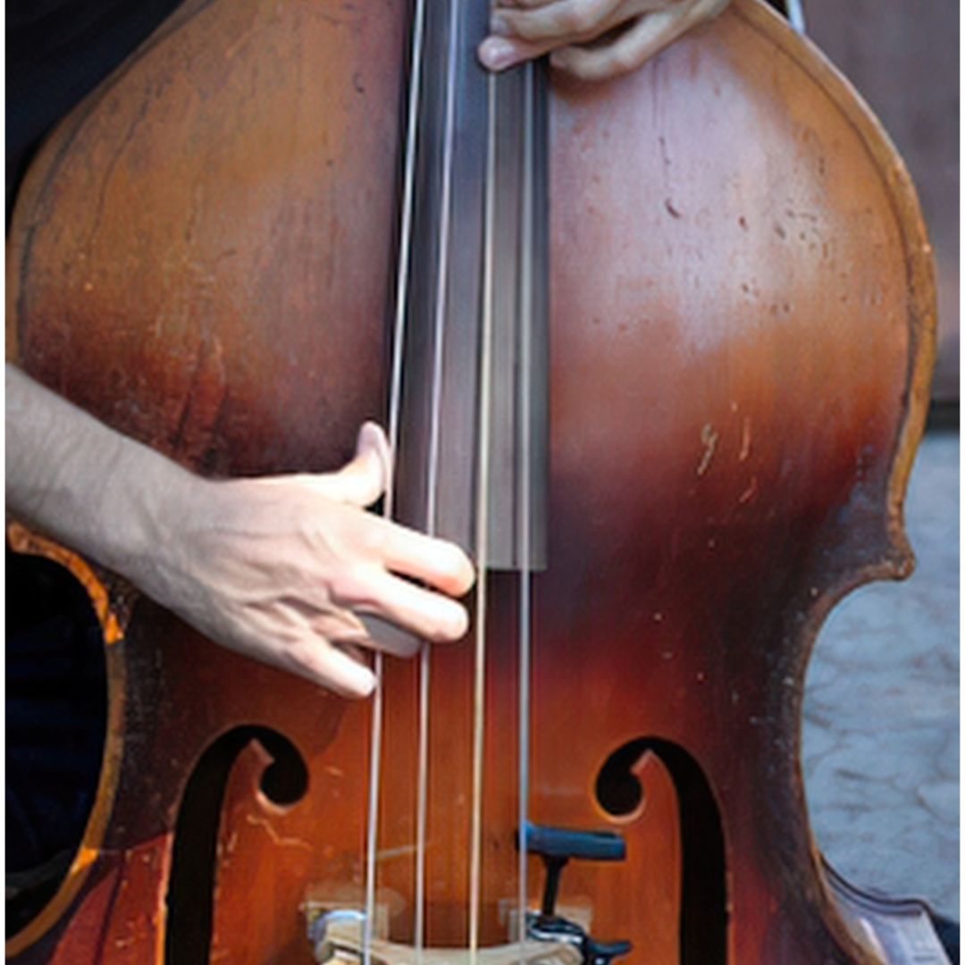 Double Bass Encounter - Family Concert