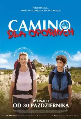 Camino for Dummies (voiceover)
