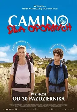 Camino for Dummies