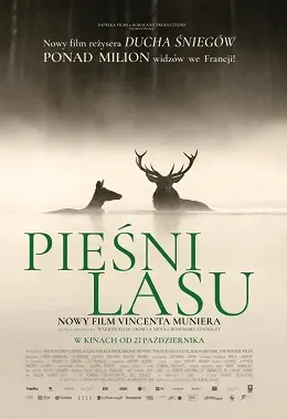 Songs of the Forest