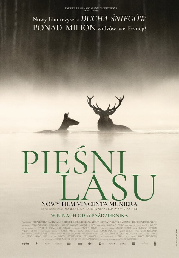 Songs of the Forest