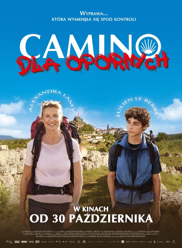 Camino for Dummies (2D/Dubbing)