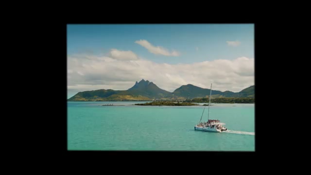 Spider Island