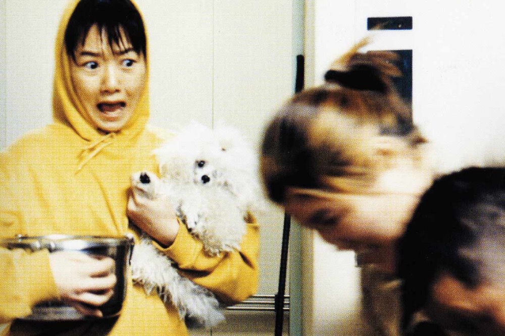 Süd-Korea: Barking Dogs Never Bite
