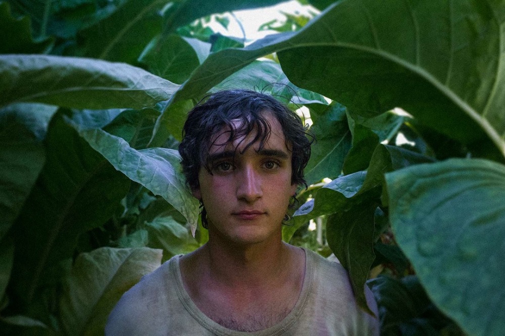 CinemAperitivo: Lazzaro felice