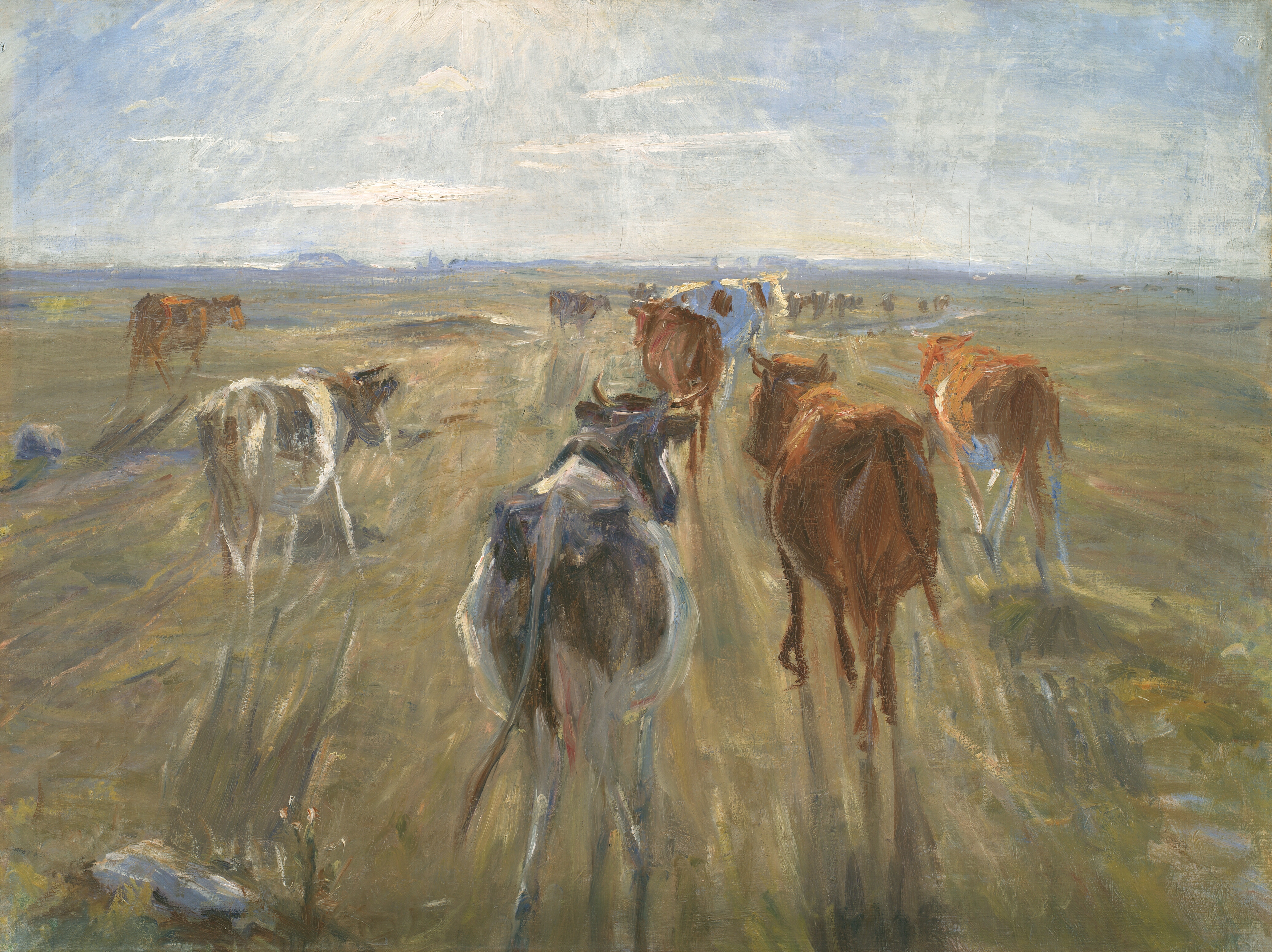 Omvisning: Natursyn