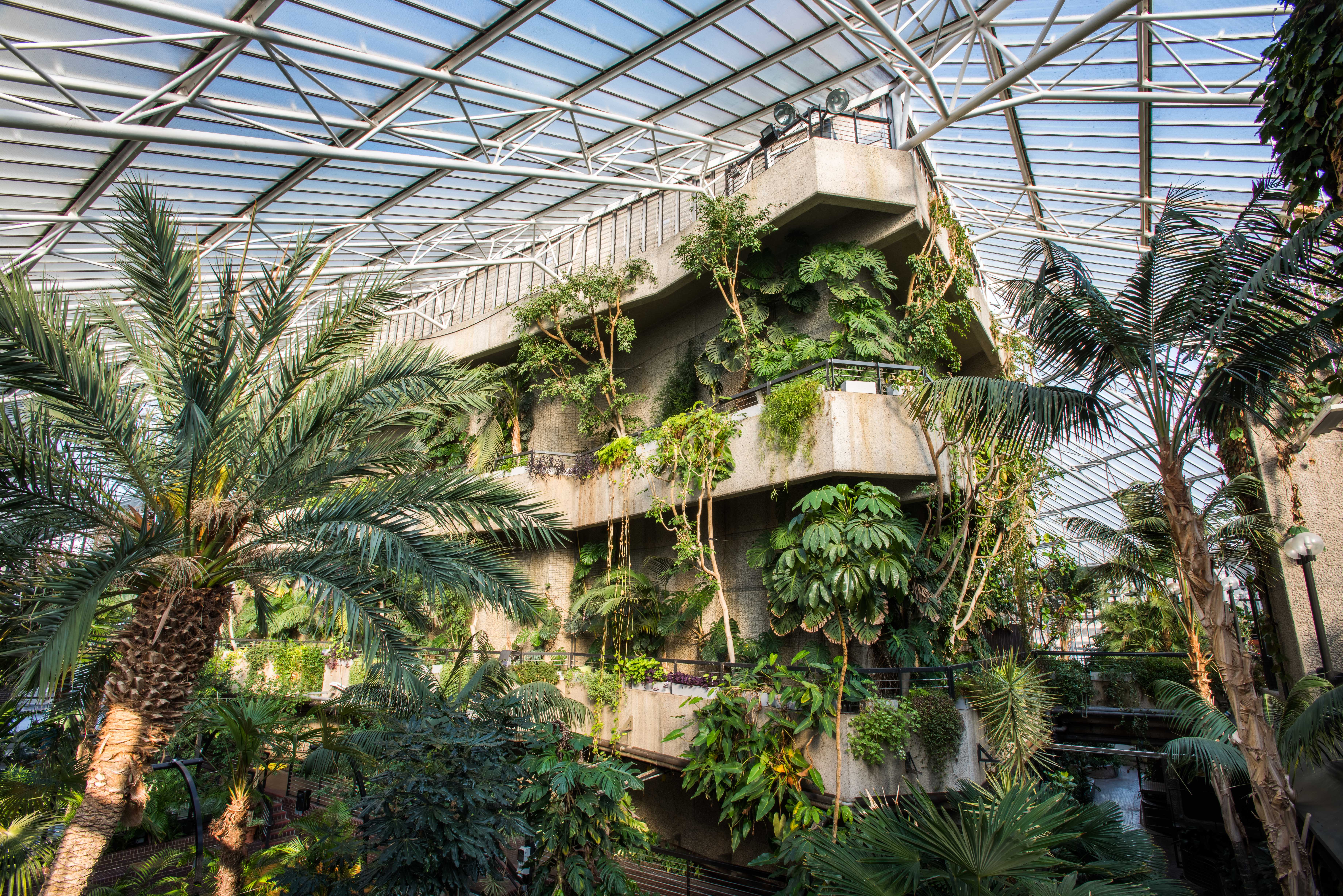 Visit the Conservatory