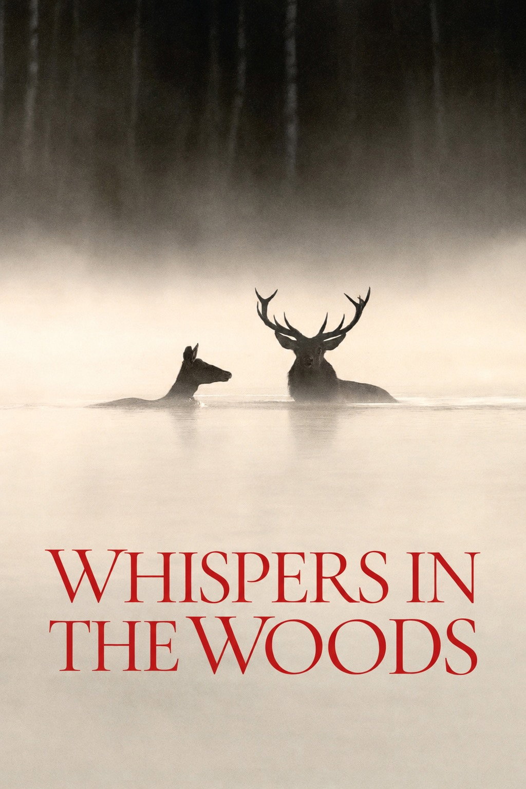 Phoenix For Nature - Whispers in the Woods + pre-recorded Q&A
