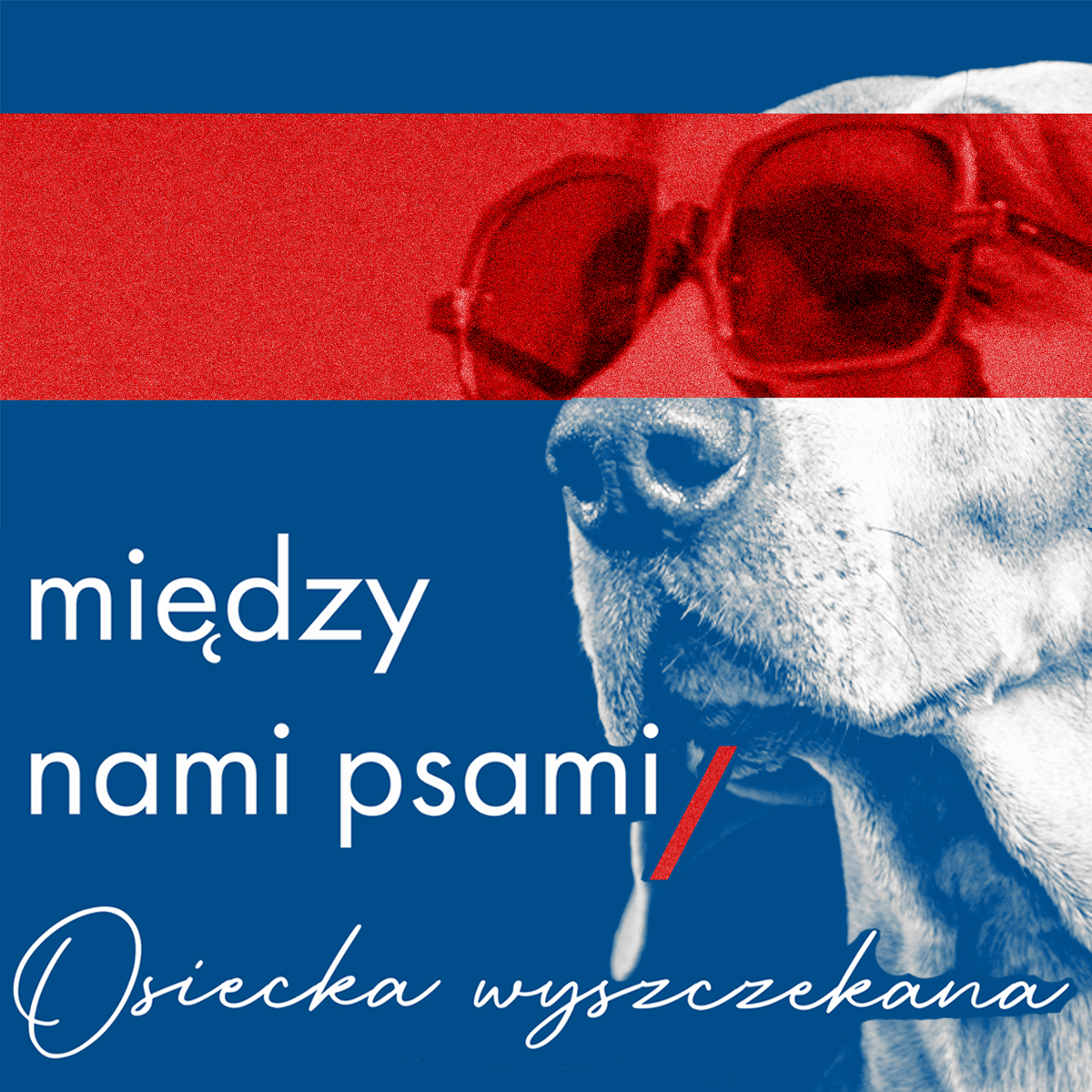 Teatr Czwarte Miasto - MIĘDZY NAMI PSAMI / OSIECKA WYSZCZEKANA