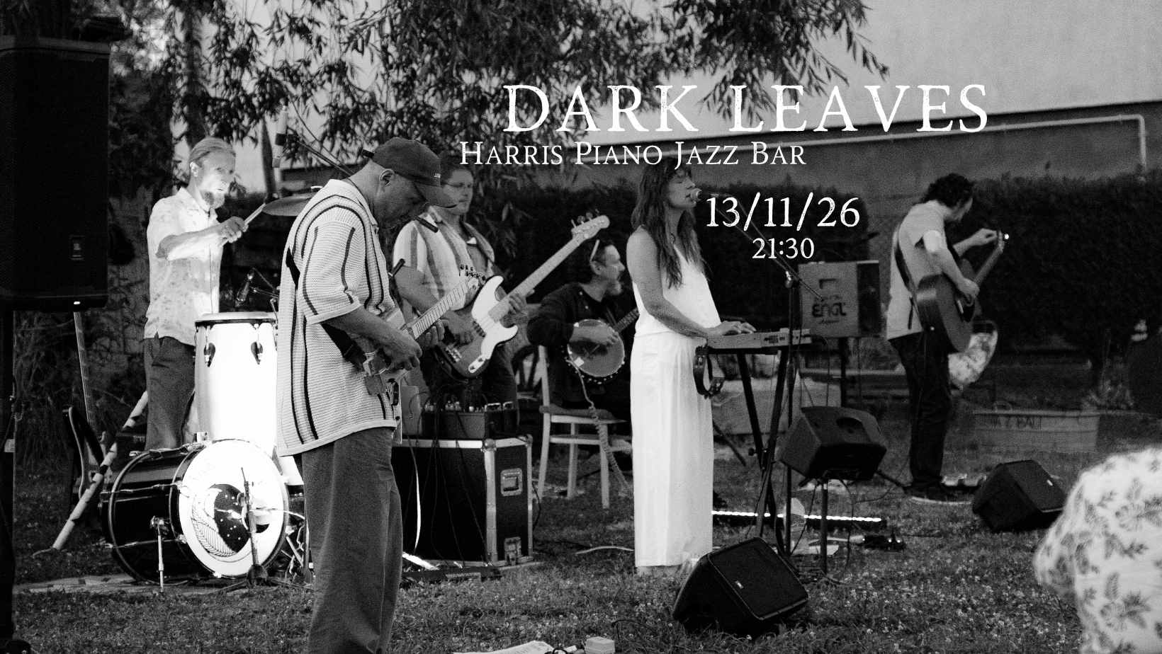 DARK LEAVES