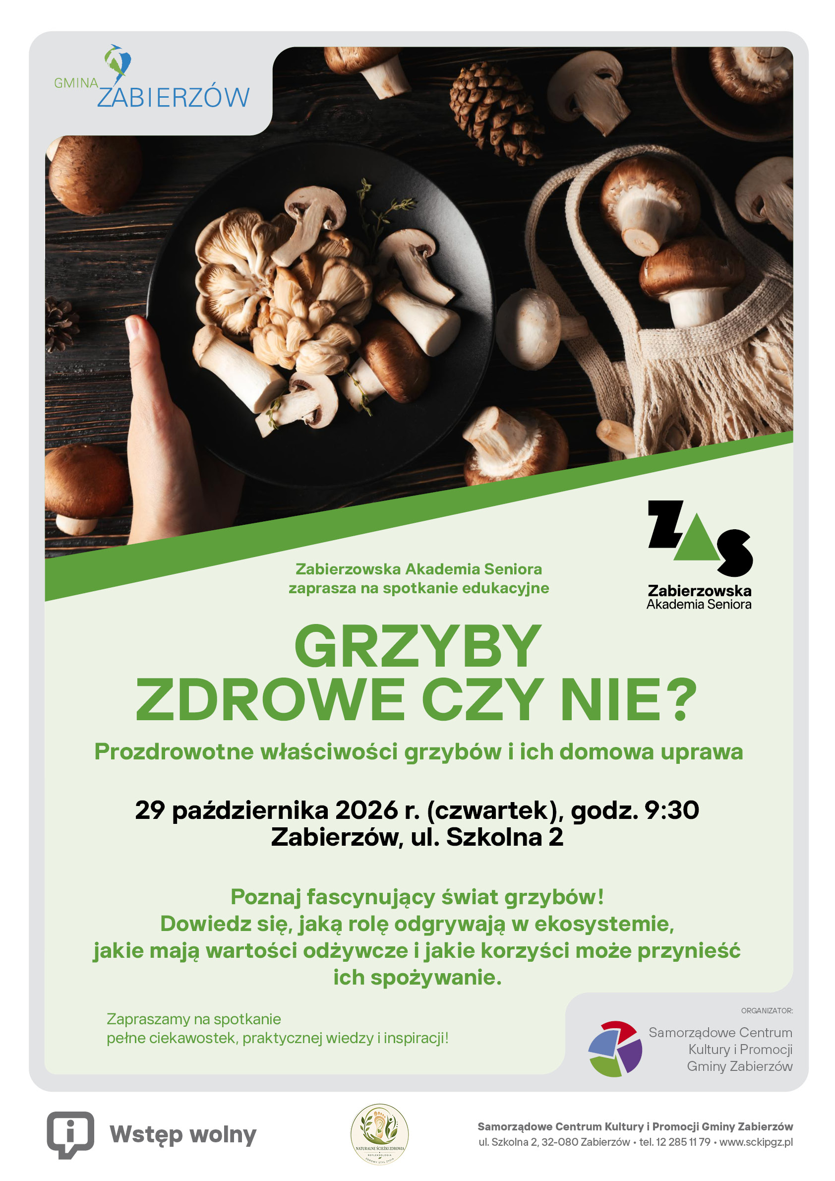 Grzyby – zdrowe czy nie? Odkryj ich niezwykłe właściwości!