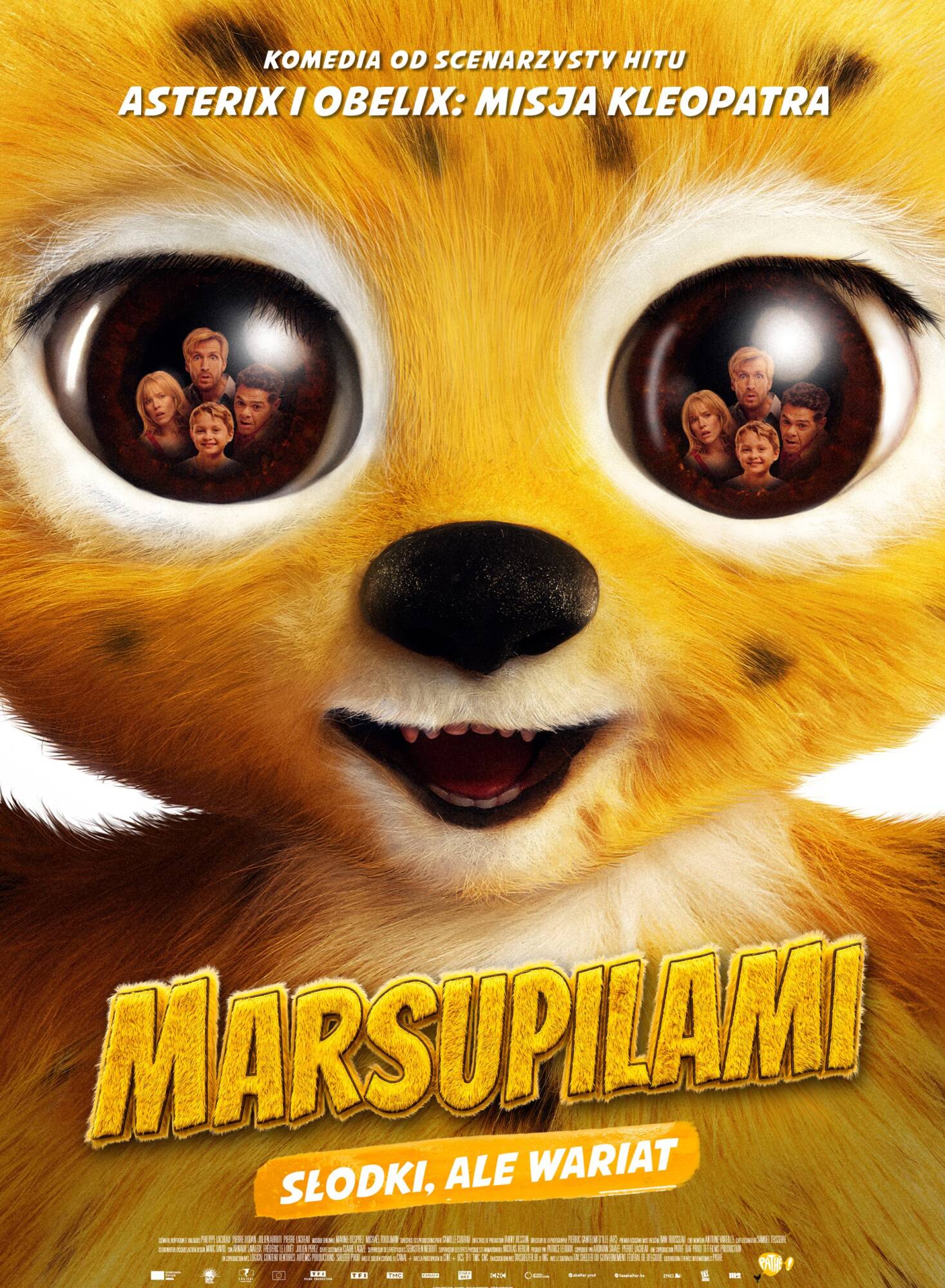Marsupilami