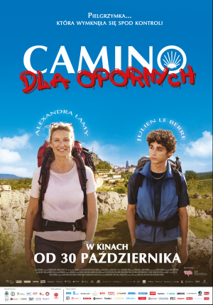 CAMINO DLA OPORNYCH - FRANCJA