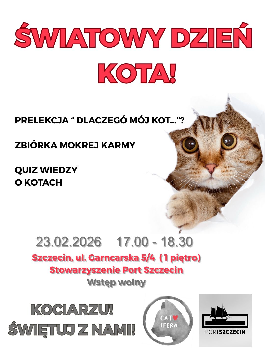 Światowy dzień kota