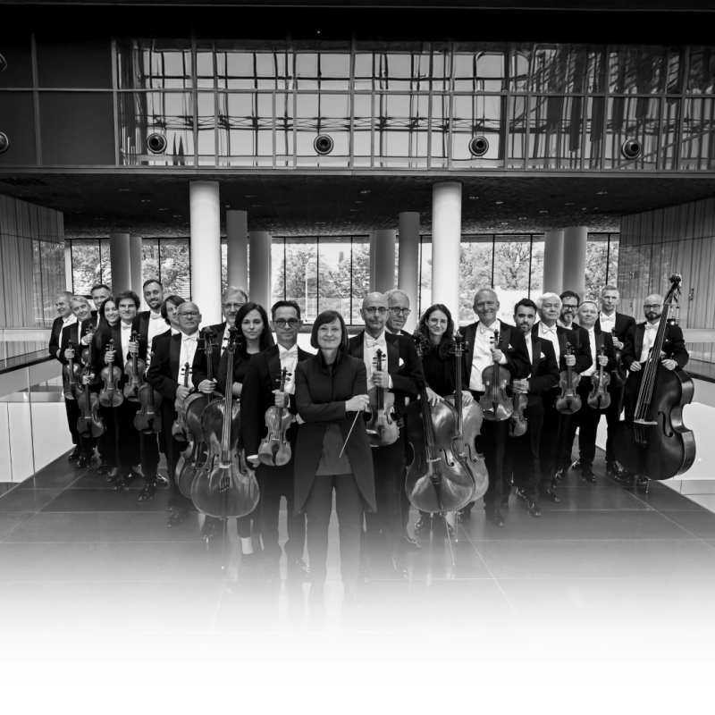 Orkiestra kameralna Polskiego Radia Amadeus