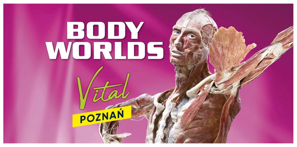 Body Vital Exhibition — Poznan