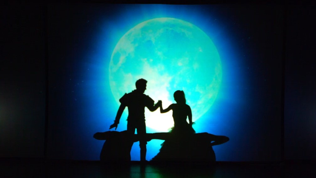 Cinderella and Teulis Shadow Theatre